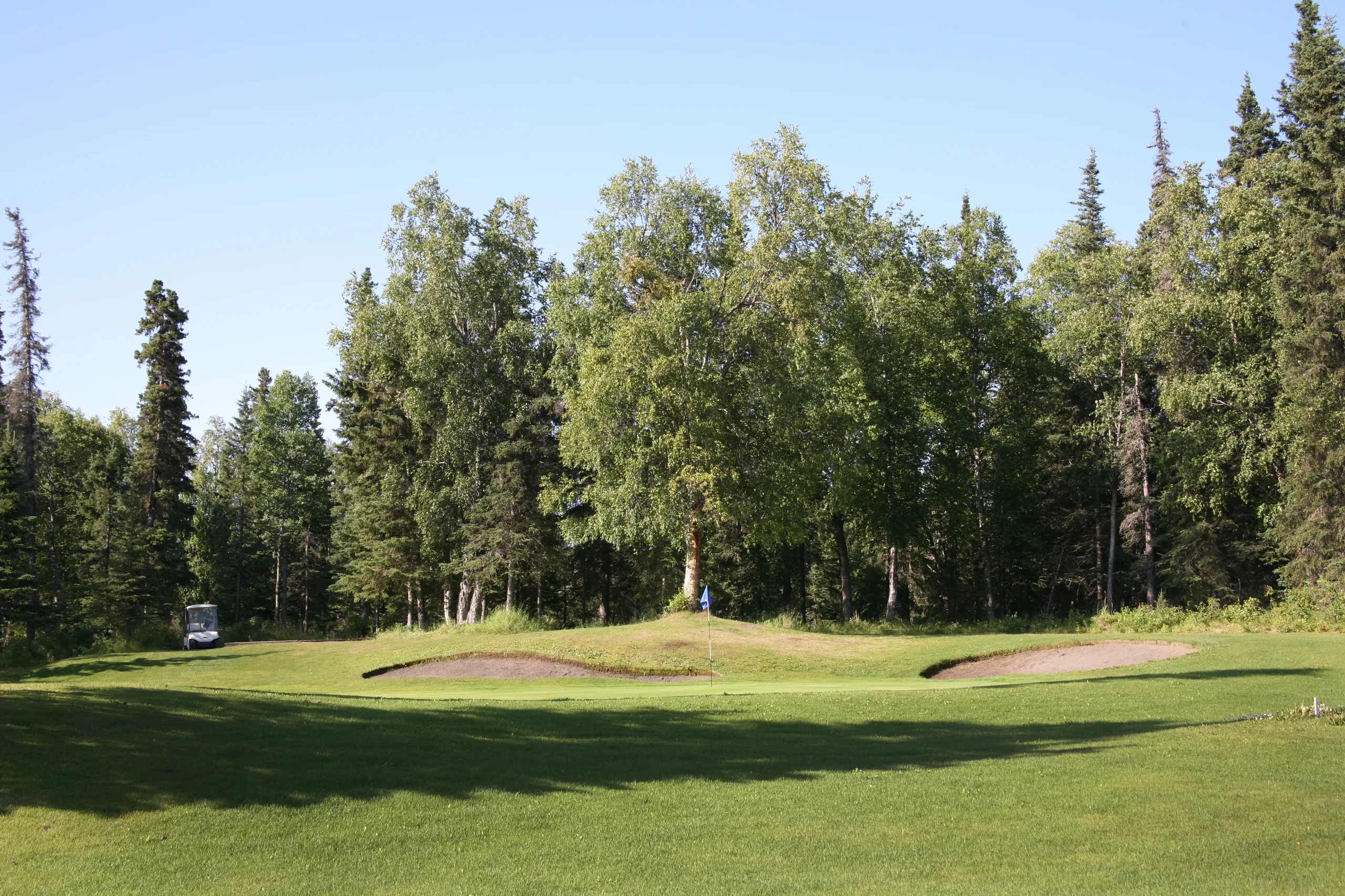 Kenai Golf Course fairway lined with spruce at golden hour