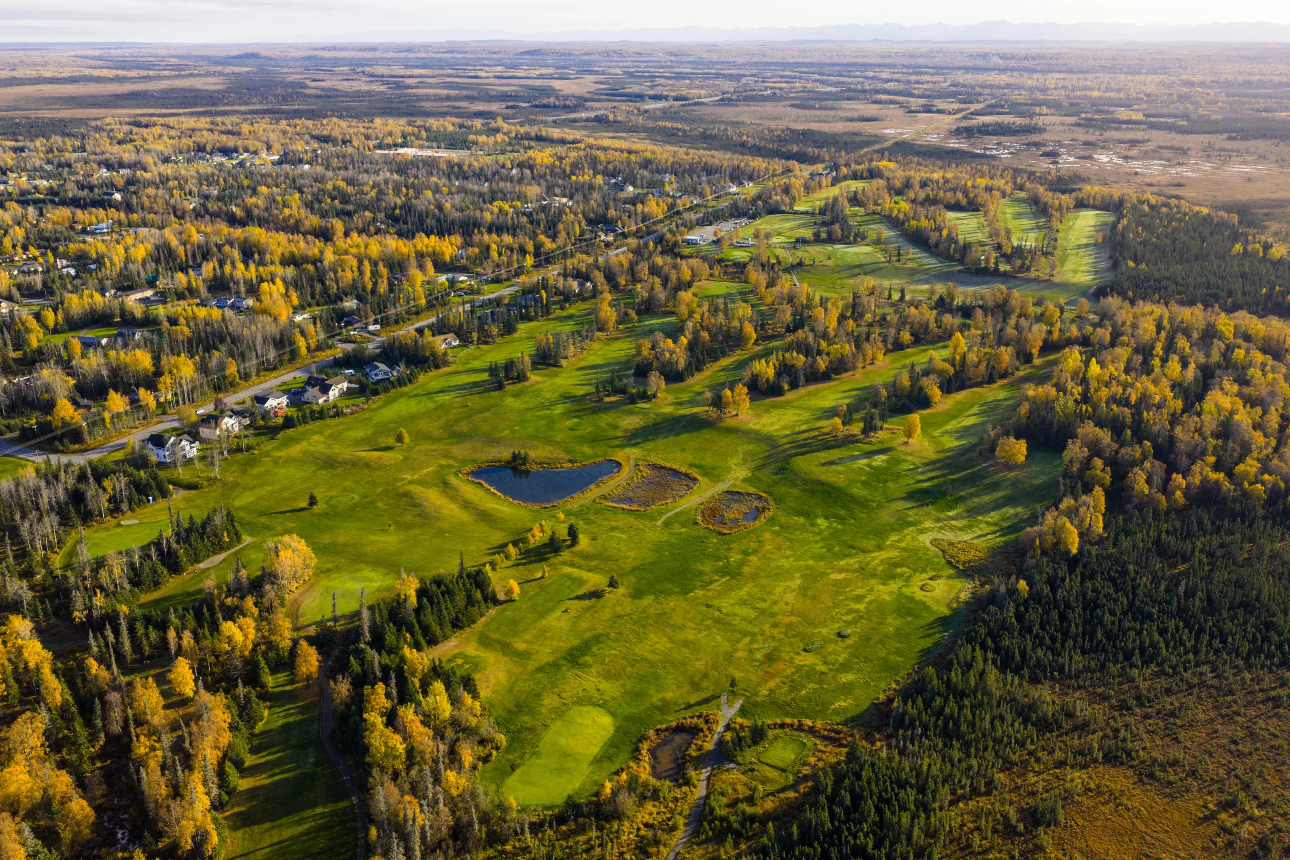 Kenai Golf Course landscape