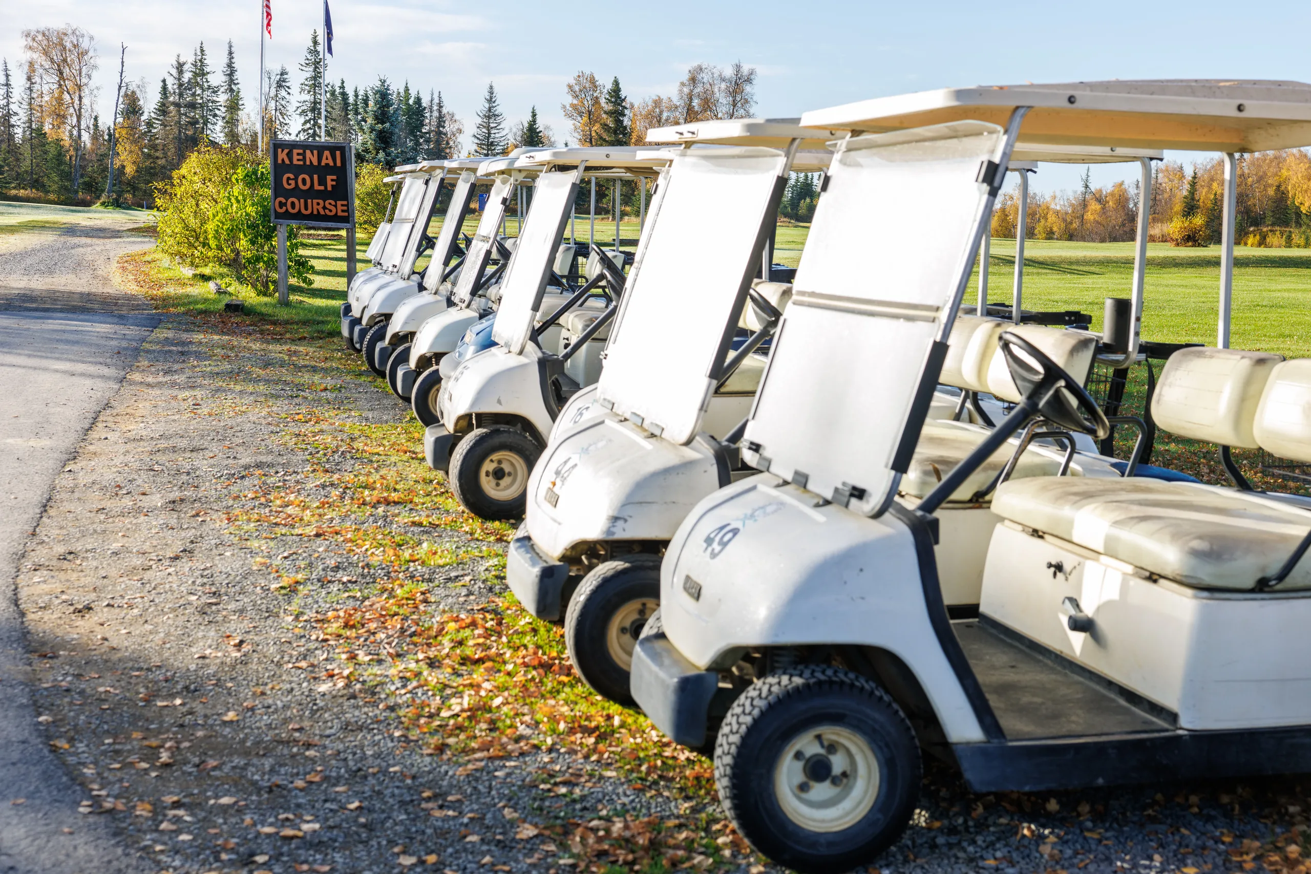 Kenai Golf Course Electric Cart Fleet